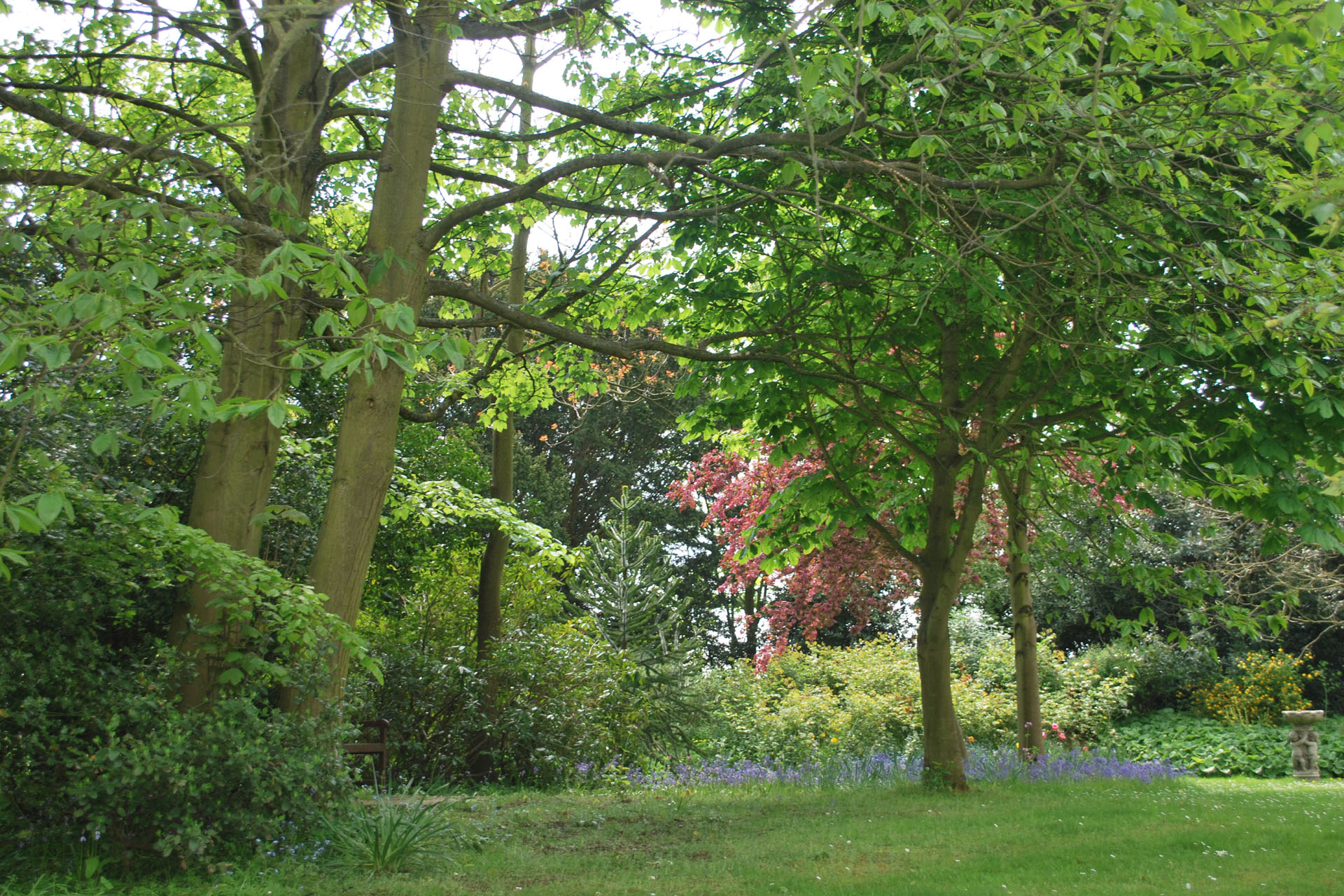 Hospice_grounds___flowers_May_2010_by_Clare_Campbell__296_banner