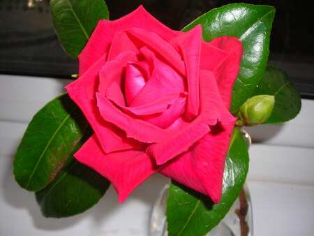 DSCN1970_4298