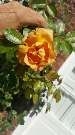 AB3_6536