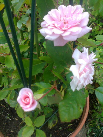Photo0083_6805