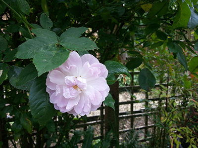 unnamed-4